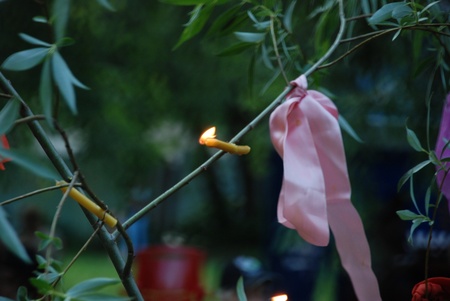 Свято Купала